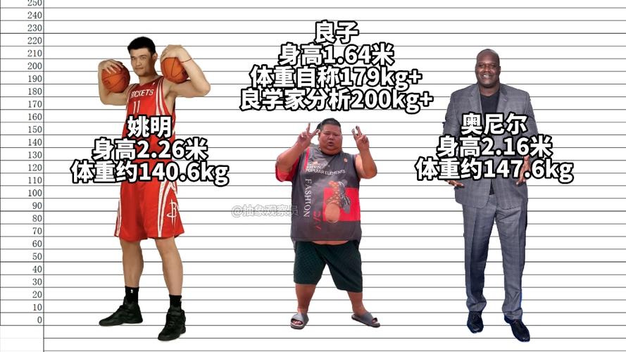 奥尼尔身高和姚明谁高（奥尼尔身高姚明身高）