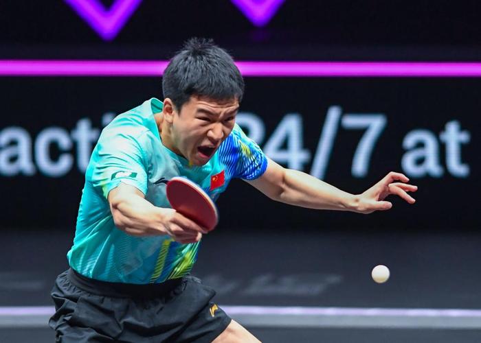 向鹏赢得国乒男队第二次选拔赛冠军，获伦敦世乒赛参赛资格